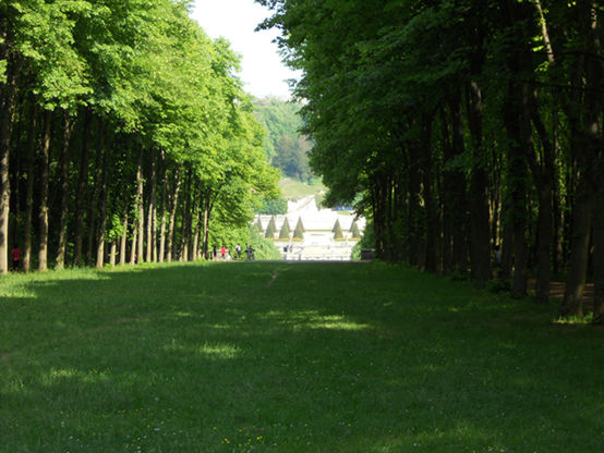 4.13_Saint-Cloud_2.jpg